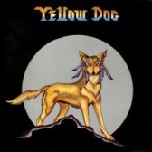 Yellow Dog1