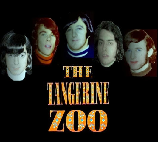 The Tangerine Zoo3