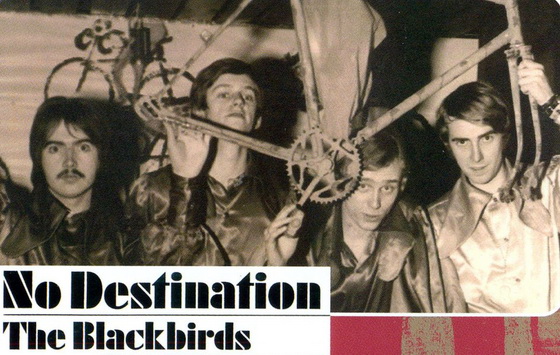 Blackbirds2