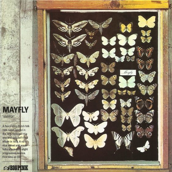 Mayfly