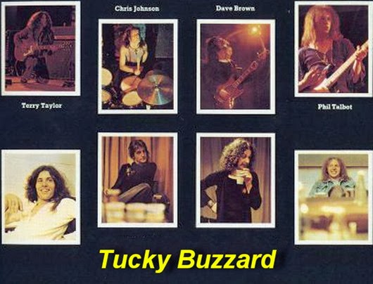 Tucky Buzzard1
