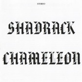 Shadrack Chameleon
