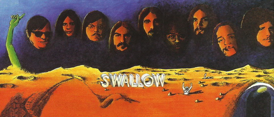 Swallow4
