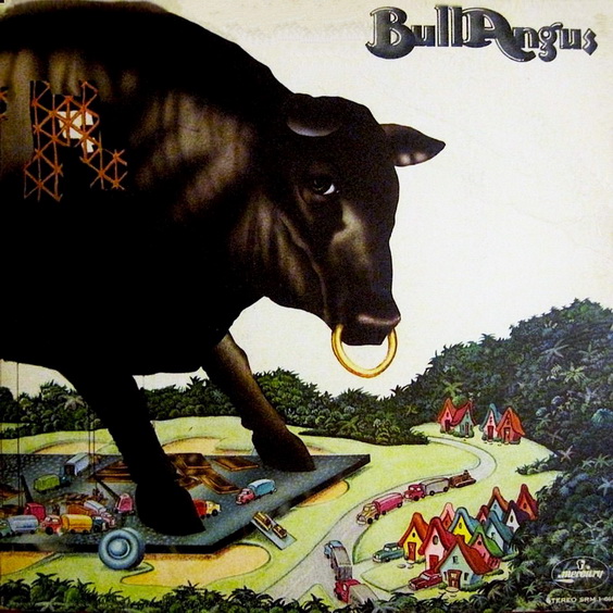 Bull Angus