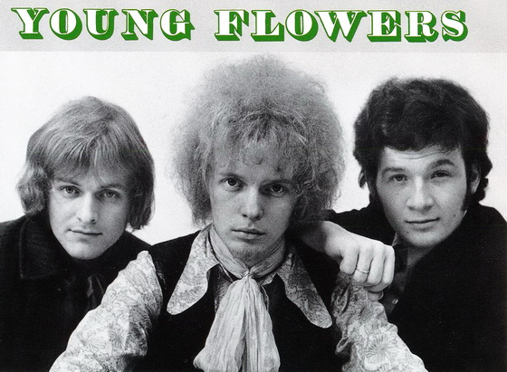 Young Flowers1