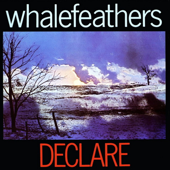 Whalefeathers