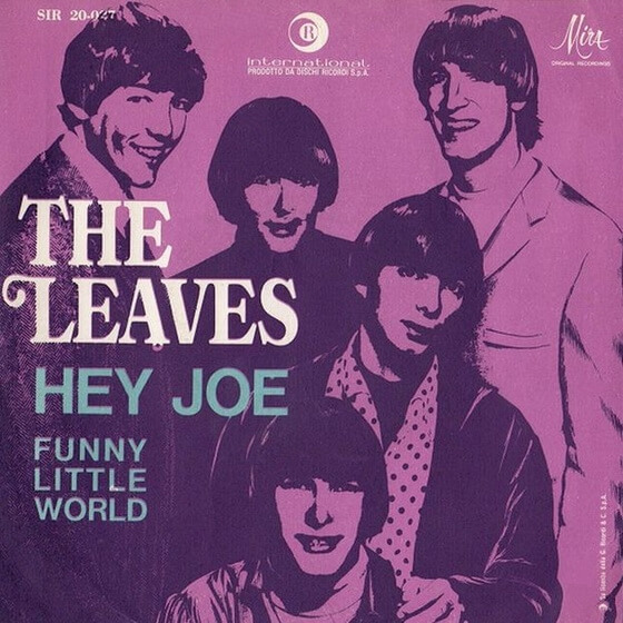 Hey joe. The leaves Hey Joe. Сингл «Hey Joe». The leaves ‎– Hey Joe-1966 купить. Greenhorns Hey Joe.