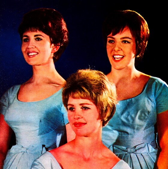 The Vernons Girls — We Love The Vernons Girls — 1962 1964 2010 Uk